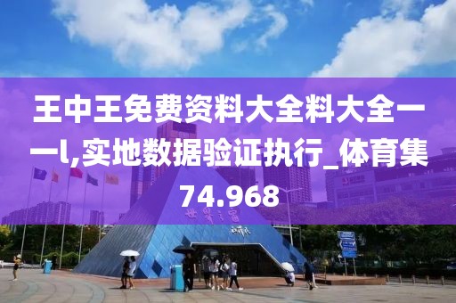 王中王免費資料大全料大全一一l,實地數據驗證執行_體育集74.968