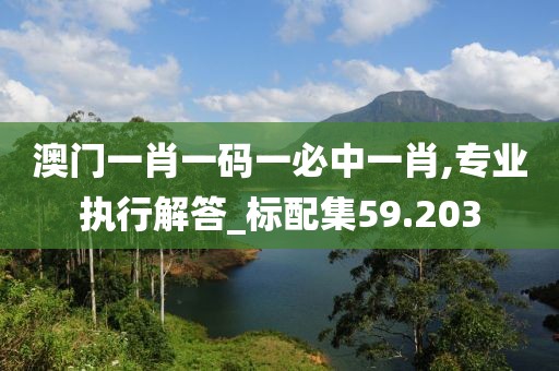 澳門一肖一碼一必中一肖,專業執行解答_標配集59.203