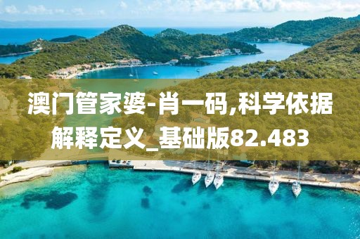 澳門管家婆-肖一碼,科學依據解釋定義_基礎版82.483