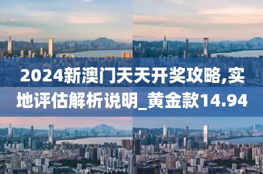 2024新澳門天天開獎攻略,實地評估解析說明_黃金款14.94