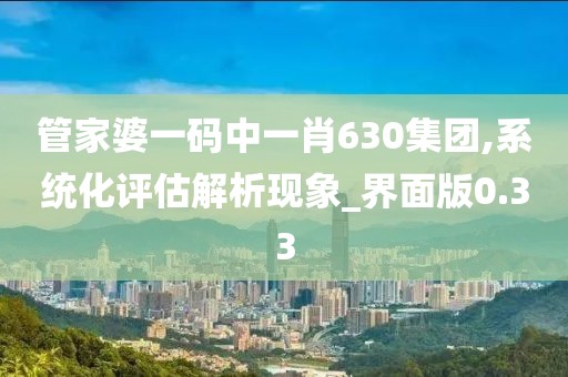 管家婆一碼中一肖630集團,系統化評估解析現象_界面版0.33