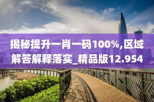 揭秘提升一肖一碼100%,區域解答解釋落實_精品版12.954
