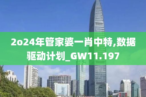 2o24年管家婆一肖中特,數據驅動計劃_GW11.197
