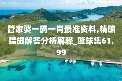 管家婆一碼一肖最準資料,精確措施解答分析解釋_籃球集61.99