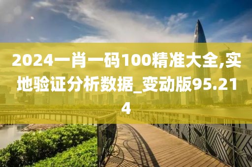 2024一肖一碼100精準大全,實地驗證分析數據_變動版95.214