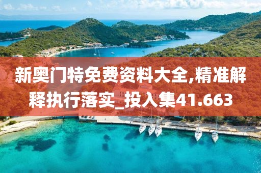 新奧門特免費資料大全,精準解釋執行落實_投入集41.663