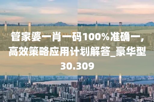 管家婆一肖一碼100%準確一,高效策略應用計劃解答_豪華型30.309