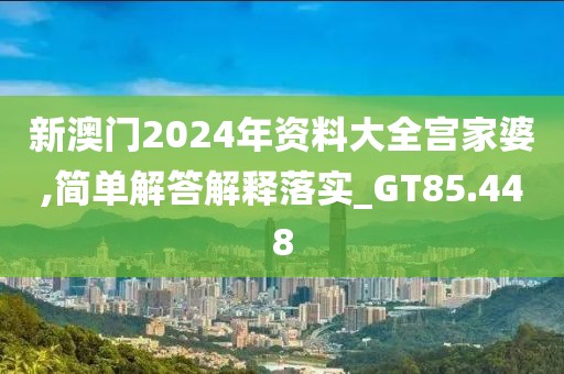 新澳門2024年資料大全宮家婆,簡單解答解釋落實_GT85.448