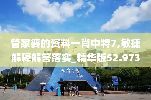 管家婆的資料一肖中特7,敏捷解釋解答落實_精華版52.973