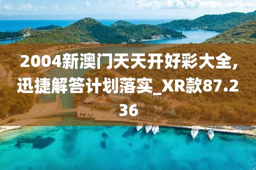 2004新澳門天天開好彩大全,迅捷解答計劃落實_XR款87.236