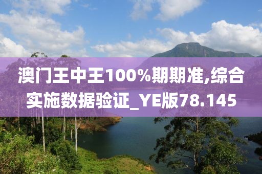 澳門王中王100%期期準,綜合實施數據驗證_YE版78.145