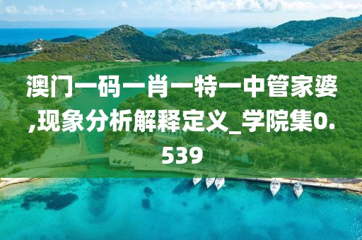 澳門一碼一肖一特一中管家婆,現象分析解釋定義_學院集0.539