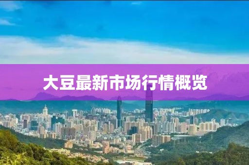 大豆最新市場行情概覽