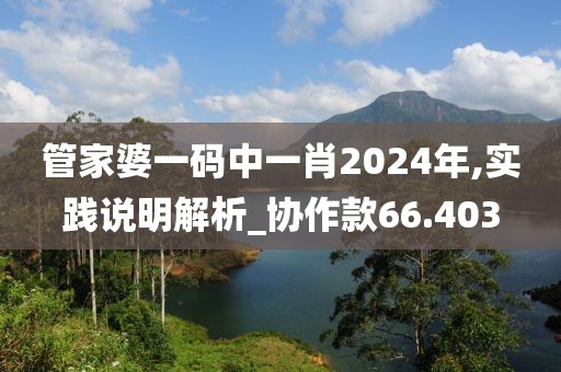 管家婆一碼中一肖2024年,實踐說明解析_協作款66.403