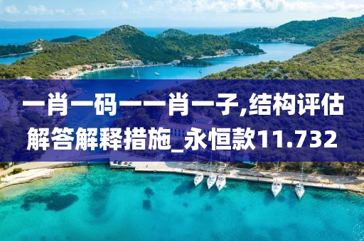 一肖一碼一一肖一子,結構評估解答解釋措施_永恒款11.732
