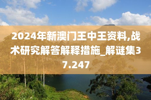 2024年新澳門王中王資料,戰術研究解答解釋措施_解謎集37.247