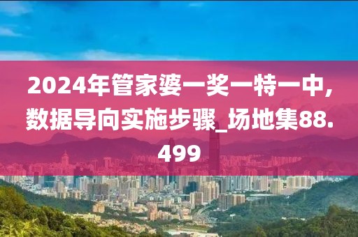2024年管家婆一獎一特一中,數據導向實施步驟_場地集88.499