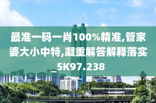 最準一碼一肖100%精準,管家婆大小中特,凝重解答解釋落實_5K97.238