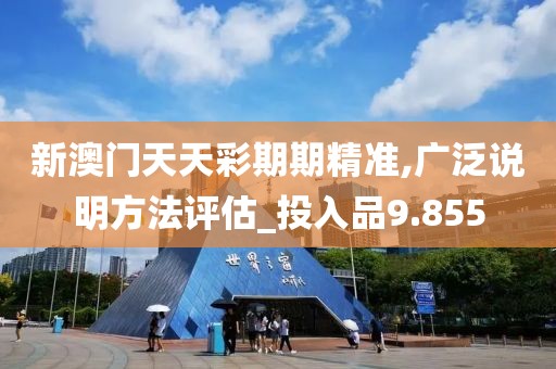 新澳門天天彩期期精準,廣泛說明方法評估_投入品9.855