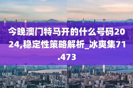 今晚澳門特馬開的什么號碼2024,穩定性策略解析_冰爽集71.473