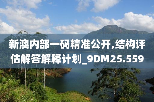 新澳內部一碼精準公開,結構評估解答解釋計劃_9DM25.559