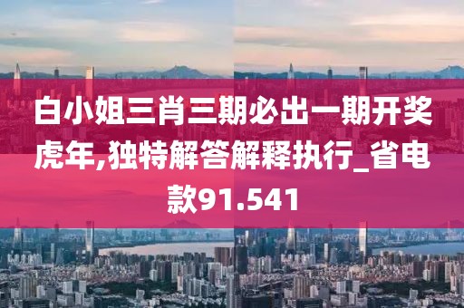白小姐三肖三期必出一期開獎虎年,獨特解答解釋執行_省電款91.541