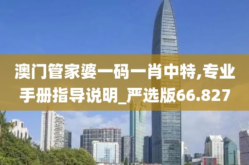 澳門管家婆一碼一肖中特,專業手冊指導說明_嚴選版66.827