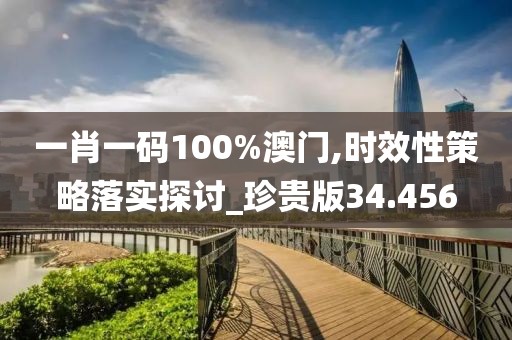 一肖一碼100%澳門,時效性策略落實探討_珍貴版34.456