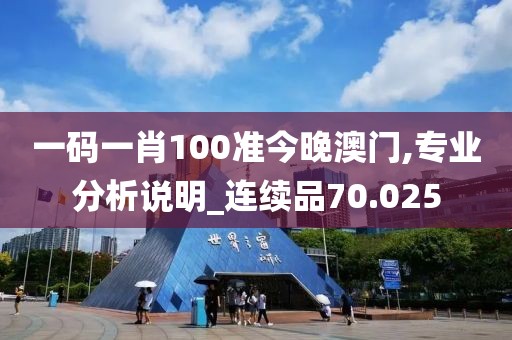 一碼一肖100準今晚澳門,專業分析說明_連續品70.025