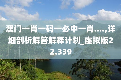 澳門一肖一碼一必中一肖....,詳細剖析解答解釋計劃_虛擬版22.339