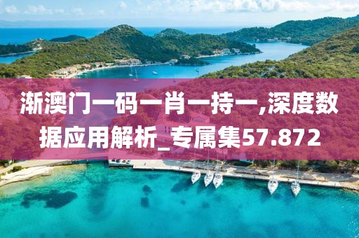 漸澳門一碼一肖一持一,深度數據應用解析_專屬集57.872
