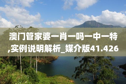 澳門管家婆一肖一嗎一中一特,實例說明解析_媒介版41.426