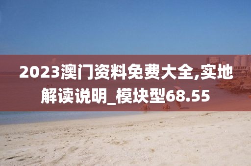 2023澳門資料免費大全,實地解讀說明_模塊型68.55
