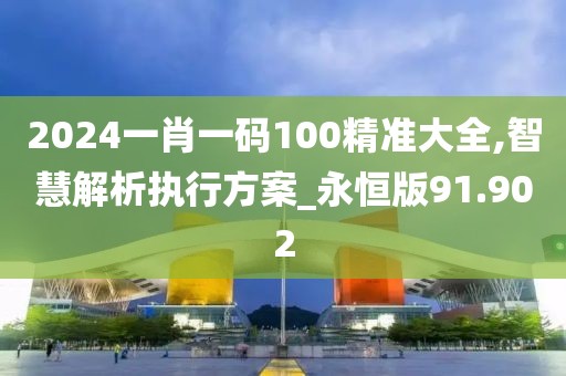 2024一肖一碼100精準大全,智慧解析執行方案_永恒版91.902