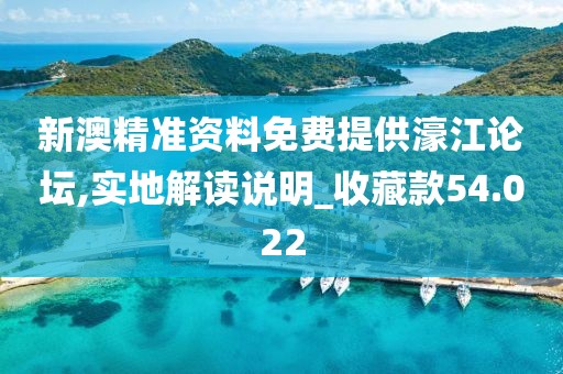 新澳精準資料免費提供濠江論壇,實地解讀說明_收藏款54.022