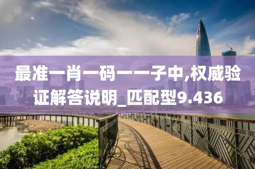 最準一肖一碼一一子中,權威驗證解答說明_匹配型9.436
