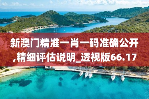 新澳門精準一肖一碼準確公開,精細評估說明_透視版66.17