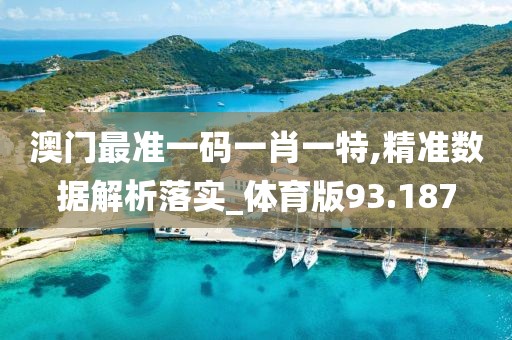 澳門最準一碼一肖一特,精準數據解析落實_體育版93.187