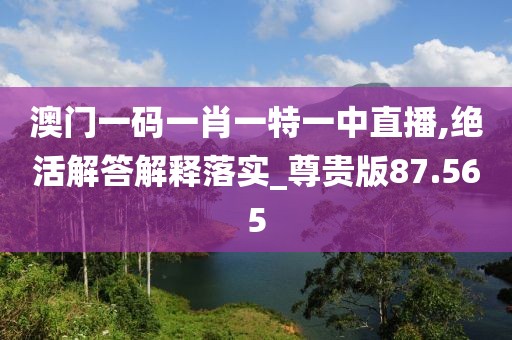 澳門一碼一肖一特一中直播,絕活解答解釋落實_尊貴版87.565