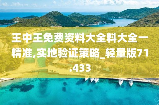 王中王免費資料大全料大全一精準,實地驗證策略_輕量版71.433