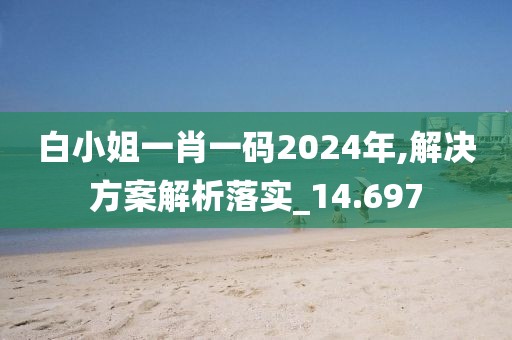 白小姐一肖一碼2024年,解決方案解析落實_14.697