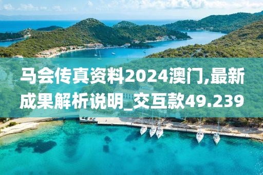 馬會傳真資料2024澳門,最新成果解析說明_交互款49.239