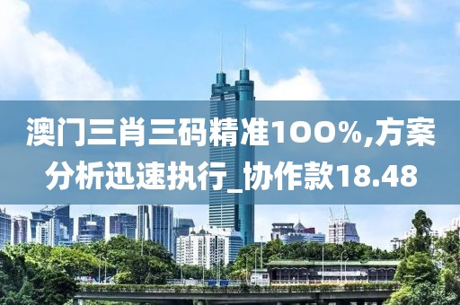 澳門三肖三碼精準1OO%,方案分析迅速執行_協作款18.48