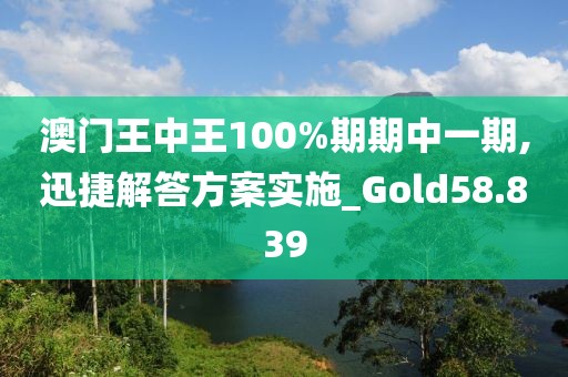 澳門王中王100%期期中一期,迅捷解答方案實施_Gold58.839