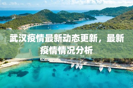 武漢疫情最新動態更新，最新疫情情況分析