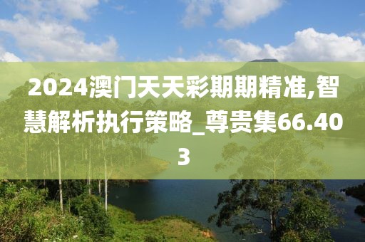 2024澳門天天彩期期精準,智慧解析執行策略_尊貴集66.403