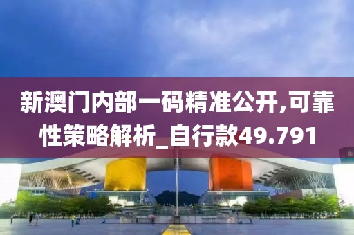 新澳門內部一碼精準公開,可靠性策略解析_自行款49.791