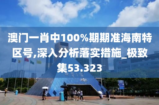 澳門一肖中100%期期準海南特區號,深入分析落實措施_極致集53.323
