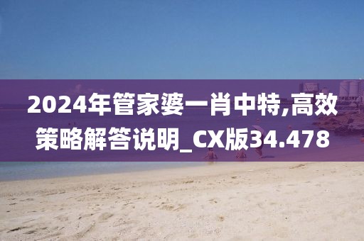 2024年管家婆一肖中特,高效策略解答說明_CX版34.478