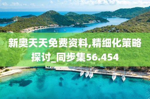 新奧天天免費資料,精細化策略探討_同步集56.454